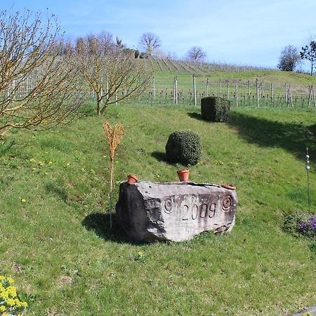 Ferienwohnung Am Weinberg Oberkirch  Zewnętrze zdjęcie