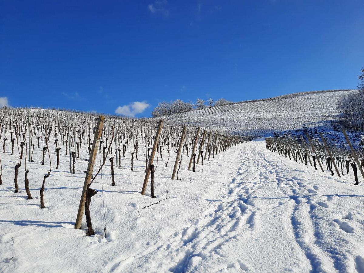 Ferienwohnung Am Weinberg Oberkirch  Zewnętrze zdjęcie