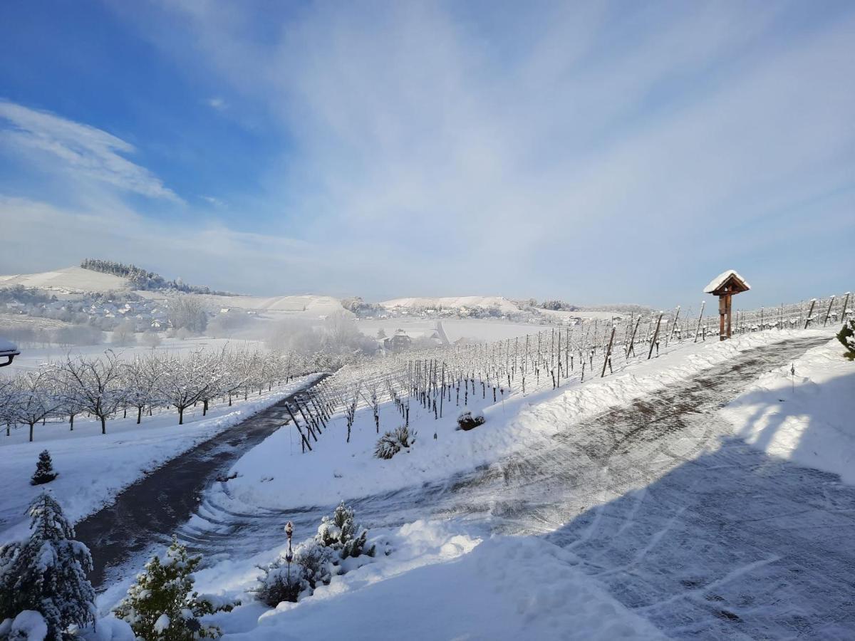 Ferienwohnung Am Weinberg Oberkirch  Zewnętrze zdjęcie