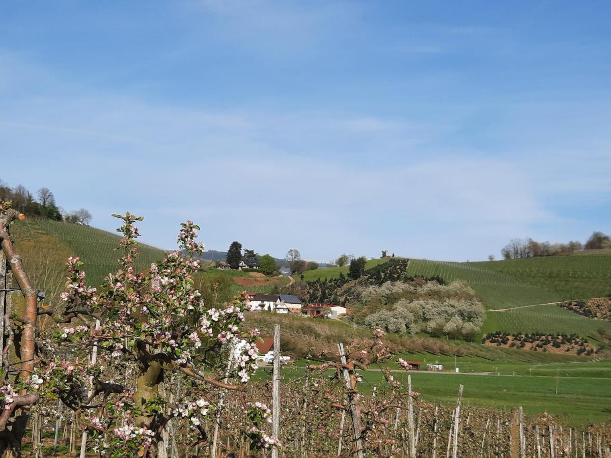 Ferienwohnung Am Weinberg Oberkirch  Zewnętrze zdjęcie